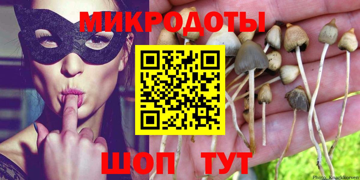 Псилоцибиновые грибы Psilocybe Жигулёвск